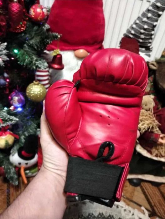 Mănuși box pentru copii Starbox