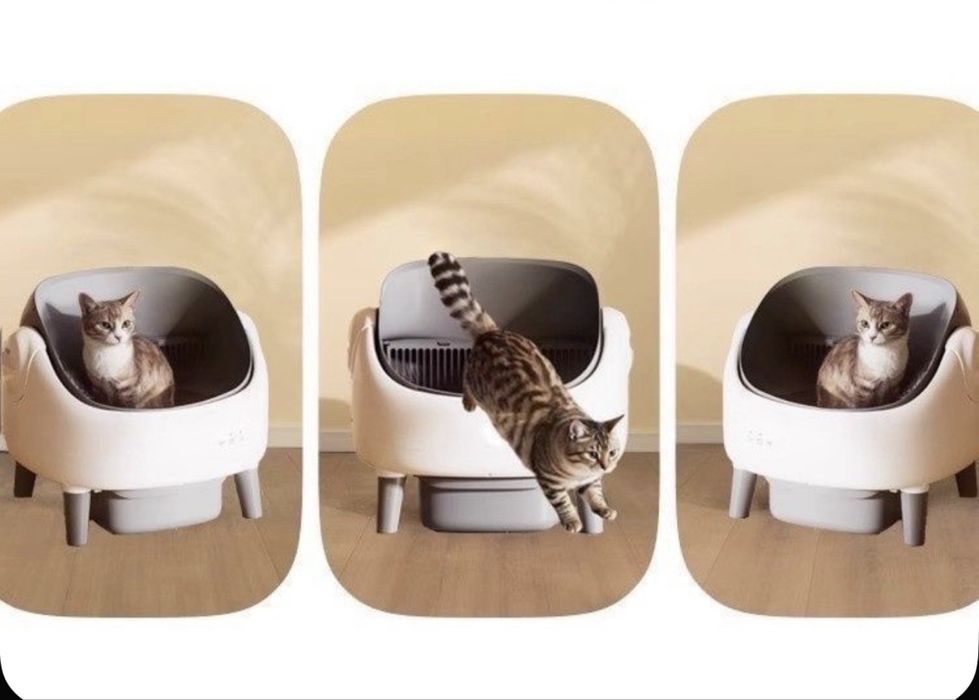 Автолоток для кошек