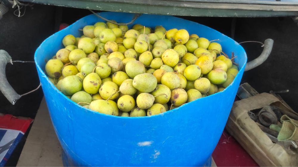 Продам дачу с времянкой. 6 соток.