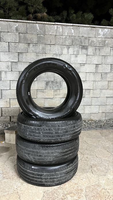 Летние шины Nexen