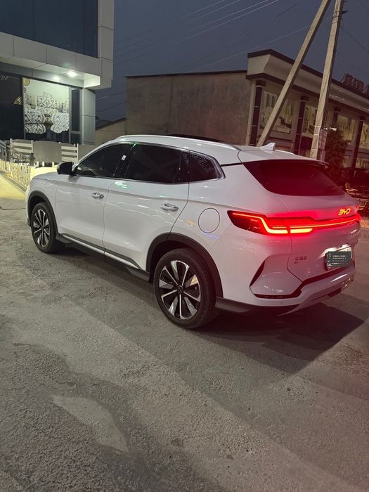 Byd chempion 2024/25