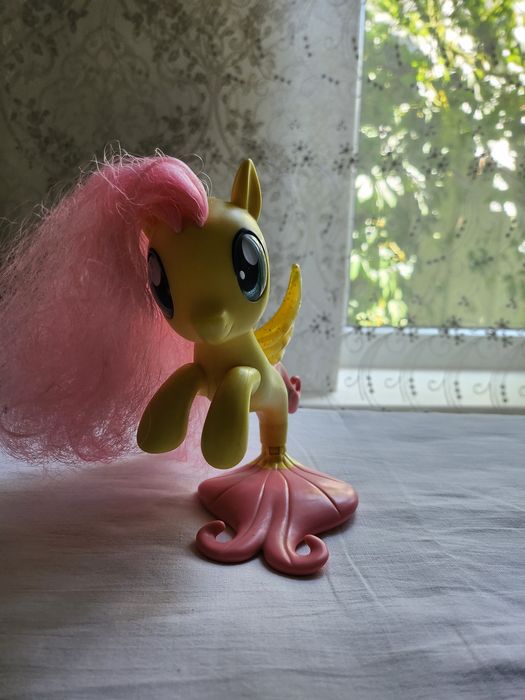 Пони для плаванья