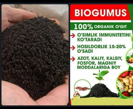 Чувалчанг акция chuvalchang aksiya