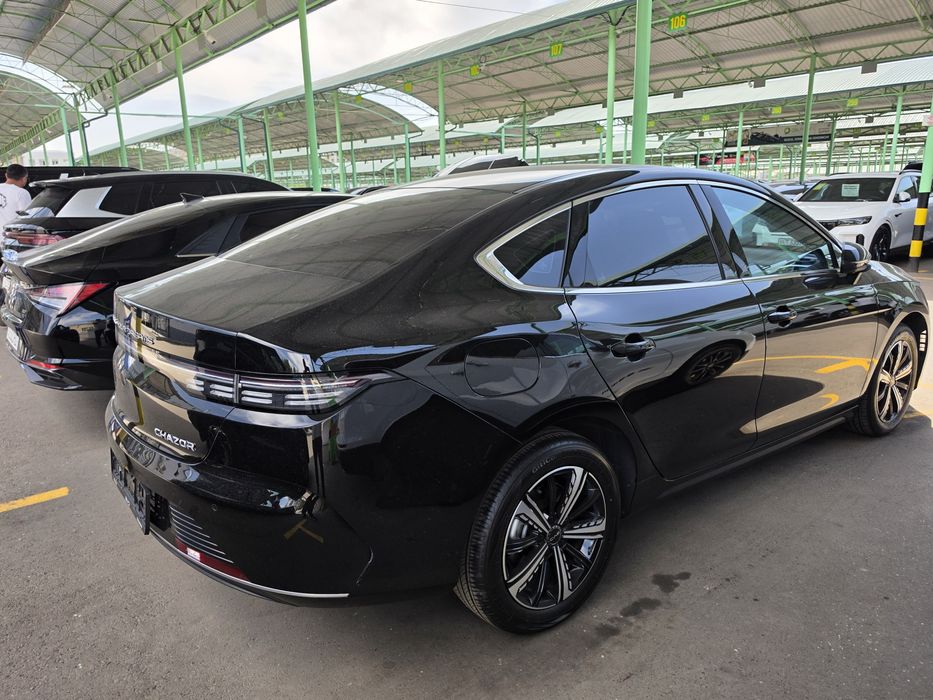 BYD Chazor 3  позиция 120 талик