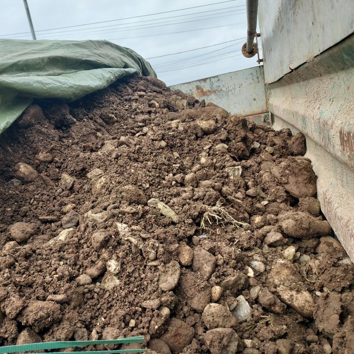 Nisip pietriș amestec ridic moluz