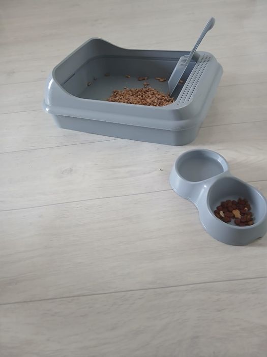 Продам кота с принадлежностями