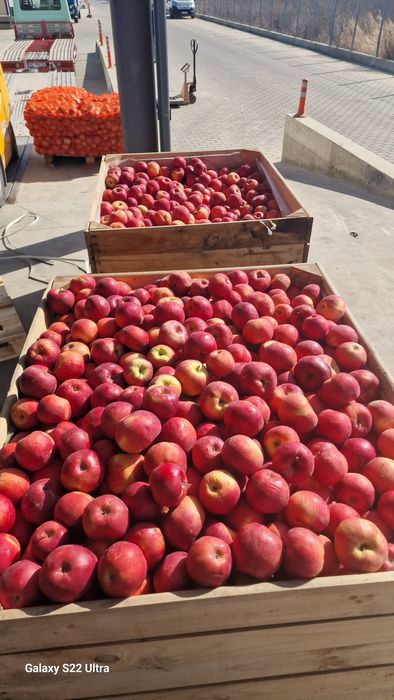 Idared 80+ 2lei mere idared