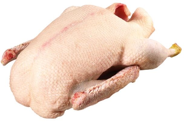 Продам мясо гуся