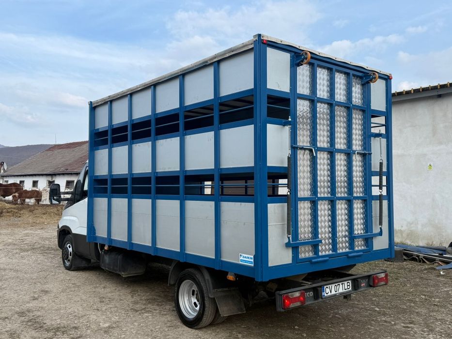 Iveco Daily cub Transport animale vii