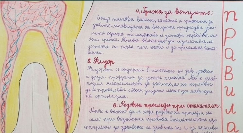 Учебници за 4.клас и проект по Човекът и природата за 6.клас