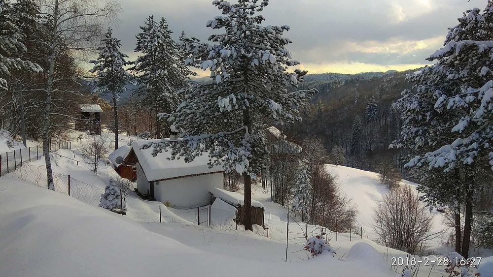 Уютна вила в сърцето на Родопите