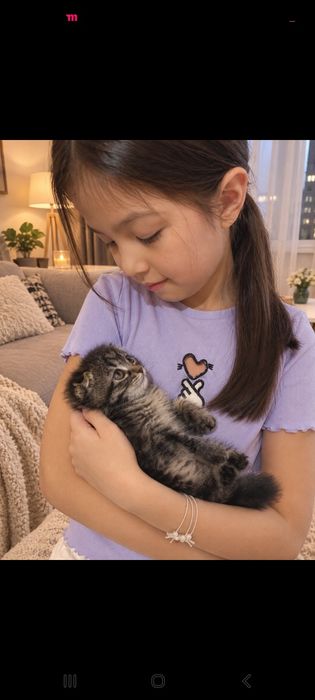 Отдам 2 Вислоухих кота и кошку.