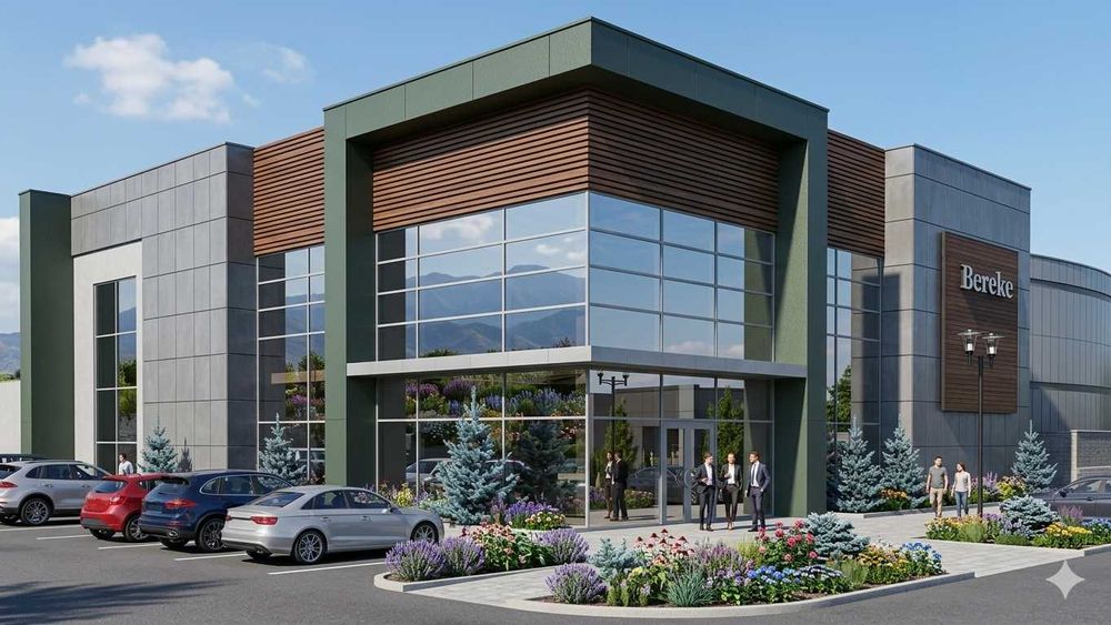 ЭСКИЗНЫЕ и рабочие проекты.