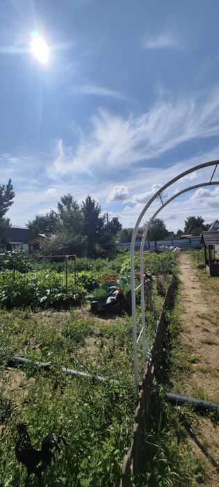 Продам дачу 11 соток