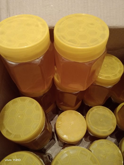 Доброцен Карокол горное