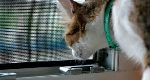 Москитные сетки Антикошка