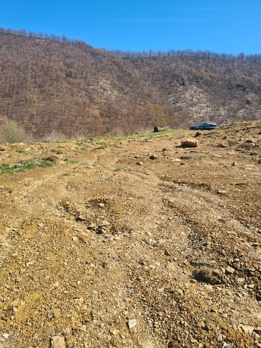 Teren intravilan 703 mp Valea Ierii PLOPI cu CF