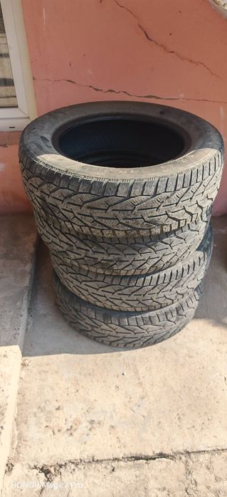 Cauciucuri vara nexen n priz