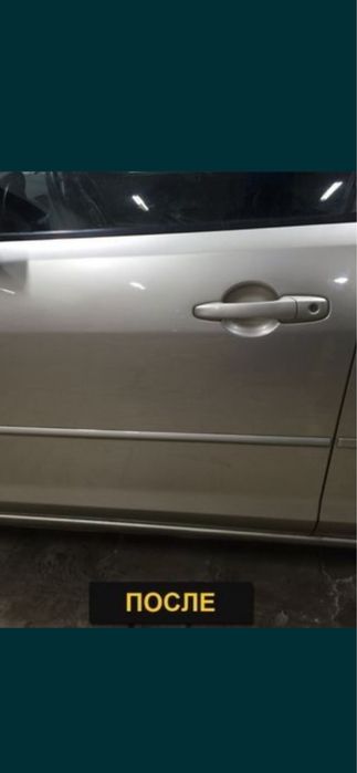 Костоправ маляр