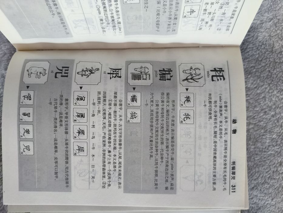 Книга словарь с китайскими иероглифами