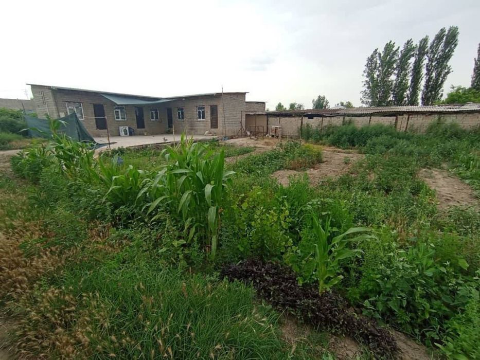 продается дом в гулистане