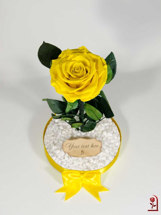 Жълта Вечна роза в Голяма стъкленица / Уникален подарък за Рожден ден