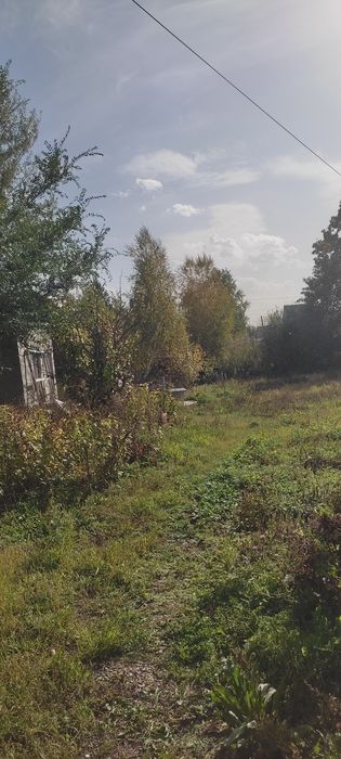 Продам дачу. Недорого.