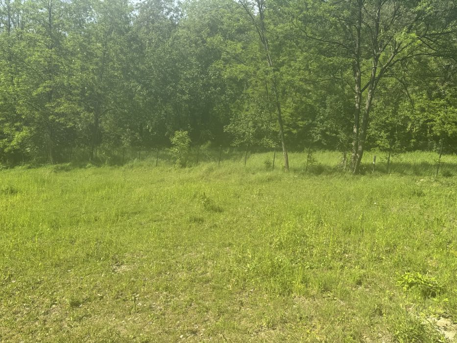 Teren intravilan / extravilan Ocnele Mari