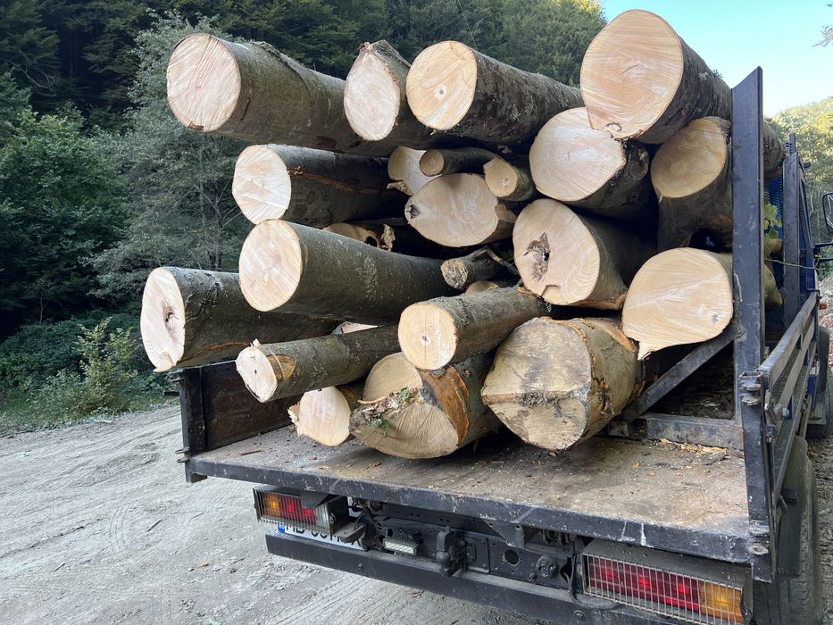 Lemn de foc material lemnos