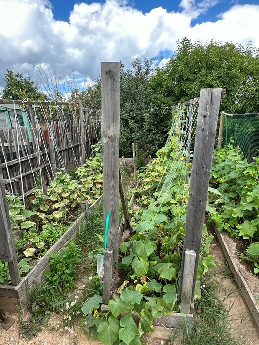 ДАЧА по Красный яр