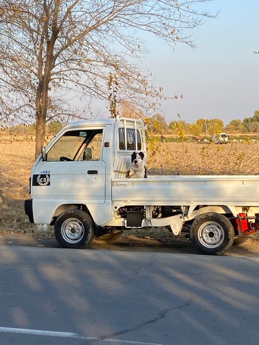 Доставка 24/7 ургенч