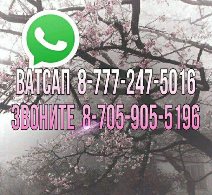 Сдаётся однакомнатая мкр 7