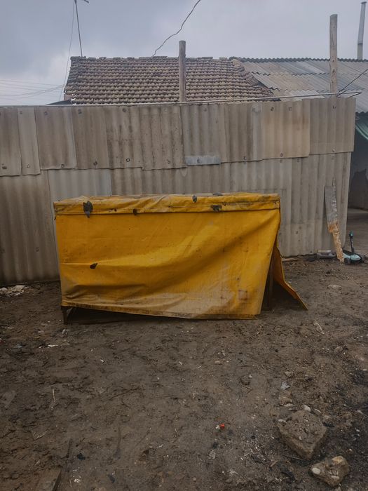 LABO uchun sariq tent