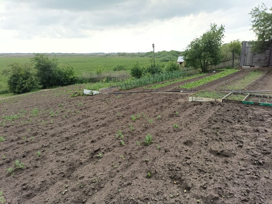 Продам дом в селе