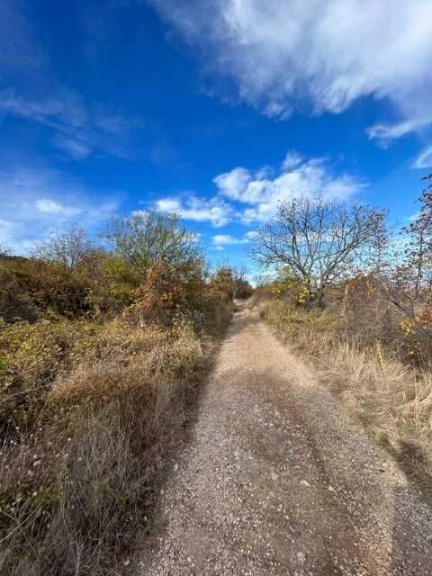 Вила Асеновград  44586