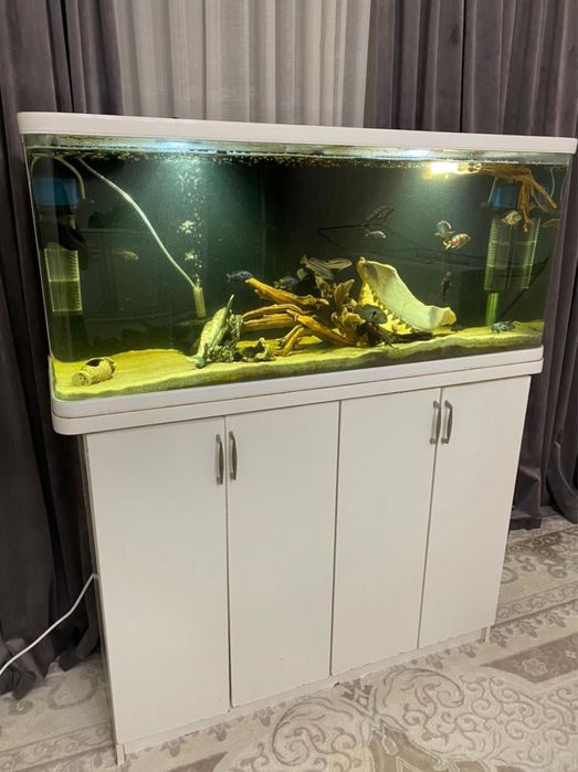 Продам аквариум 250 литров