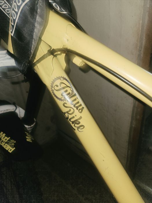Vand bicicleta custom