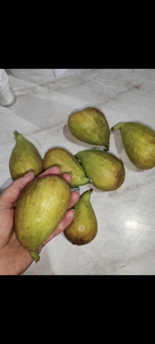 Gem de smochine de casa