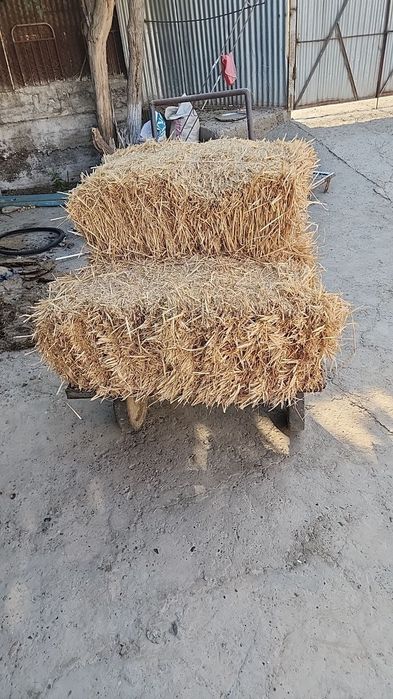 Somon pres sotiladi. Bir yil oldingi katta pres.