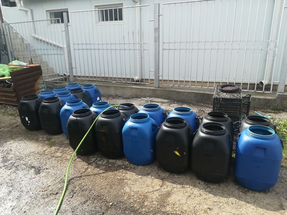 Продавам за 1 брой бидон -50 литра