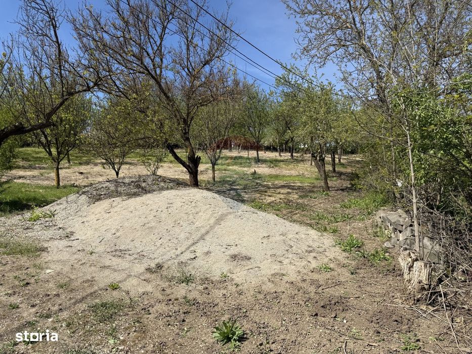 Teren intravilan parcelabil 3.783 mp în Bădeni | împrejmuit
