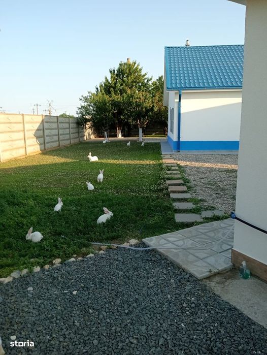 Vând casă complet utilată în Corbu, jud. Constanta