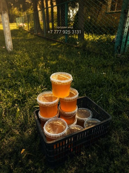 Продам мёд разнотравье.