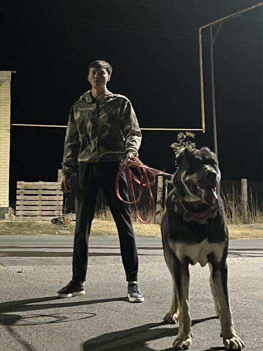 Алабай.Тобет.Қаранарский.Қазықы тобет