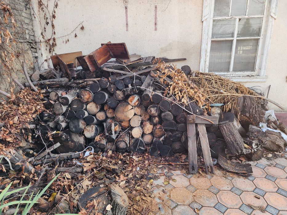 Дрова из чинары, напиленные