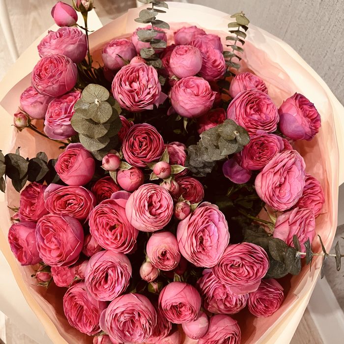 Продам цветы свежие