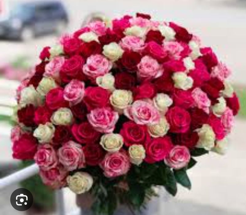 51шт Роза 12.04.26