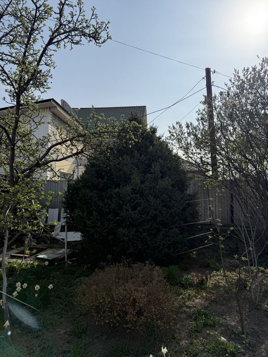 Продам ёлку очень красивая