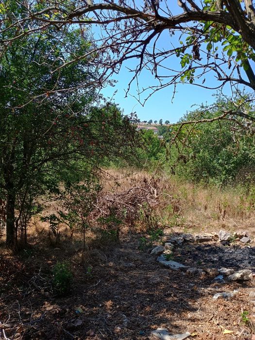 Къща с двор с.Изворско