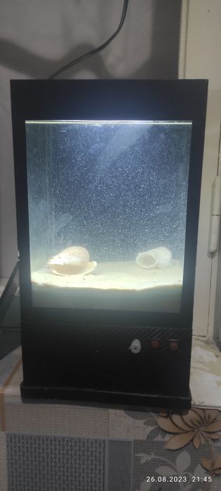 Akvarium 10l tahminan 400.00ming som